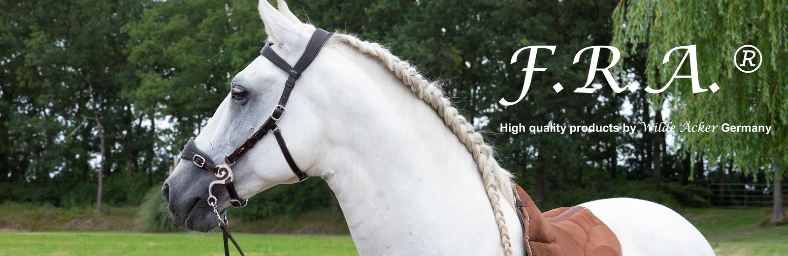 F.R.A. Freedom Riding Articles